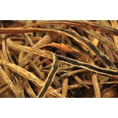 Vaniliás kozmetikumok