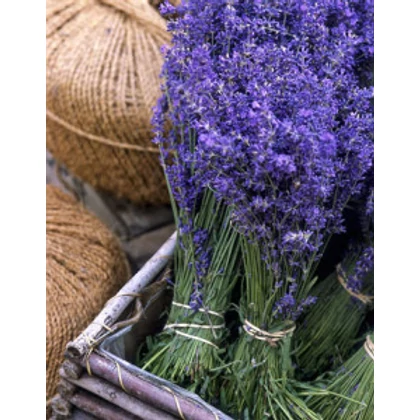 Levendulás készítményeink